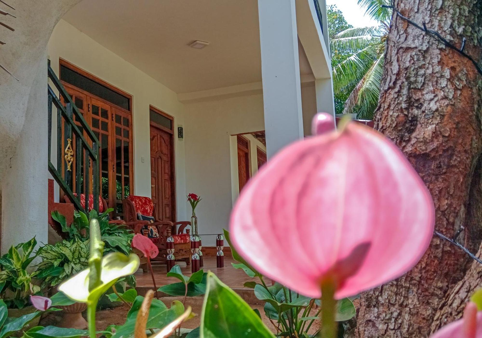 סיגירייה Gimhana Homestay מראה חיצוני תמונה