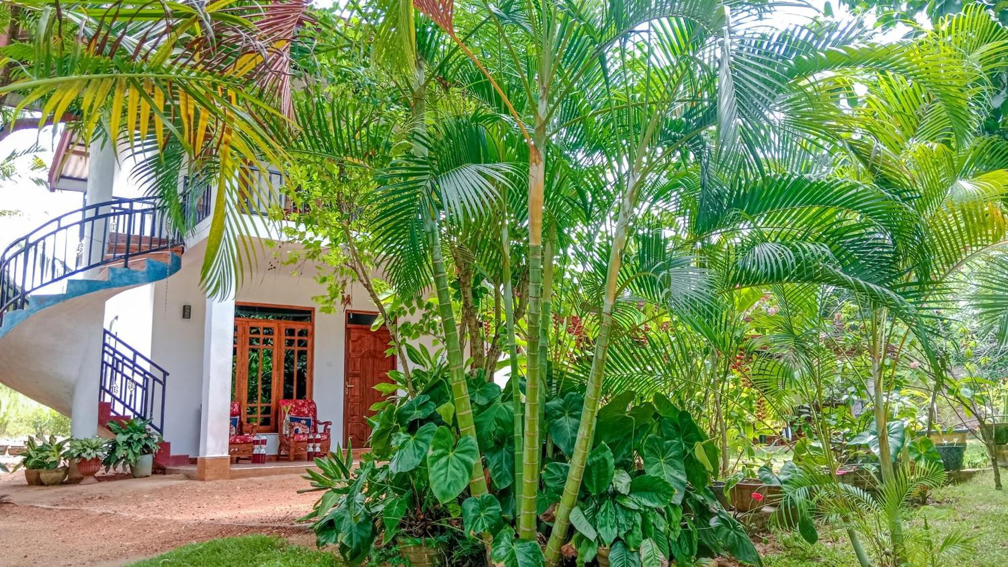 סיגירייה Gimhana Homestay מראה חיצוני תמונה